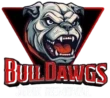 Local Business Bull Dawg Junk Removal in  