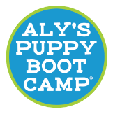 https://alyspuppybootcamp.com/