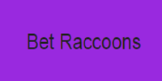 Local Business Bet Raccoons in London, HA1 2TR 