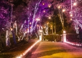 LED Landscape Lighting By J Bell