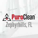 Local Business PuroClean Certified Restoration Specialists in Zephyrhills 