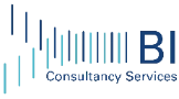 BI Consultancy Services