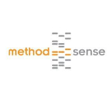 Local Business MethodSense, Inc in Morrisville, NC  