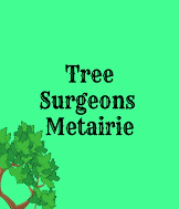 Tree Surgeons of Metairie