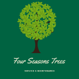 Four Seasons Trees