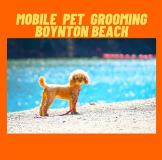 Local Business Mobile Pet Grooming Boynton Beach in Boynton Beach, FL FL