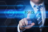 Forex Trader