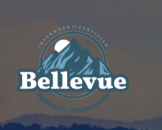 Bellevue Property Consultants