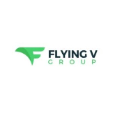 Flying V Group Digital Marketing