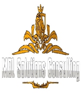 MDL Solutions Consulting Corp