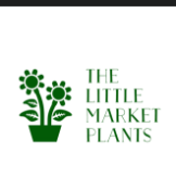 The little market plants