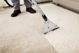 Carpet cleaning Sarasota