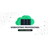 Local Business Web Hosting Prof in New York NY