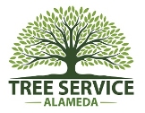 Tree Service Alameda