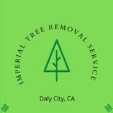 Bay Tree Removal Service