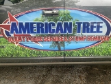 Local Business American Tree & Landscaping LLC in Woodbridge VA