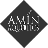 Local Business Amin Aquatics and Exotics Ltd in Earley, Reading England