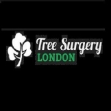 Local Business Tree Surgery London in London England