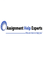 Assignment Help Experts