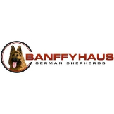 BanffyHausGermanShepherds