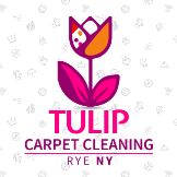 Tulip Carpet Cleaning Rye NY