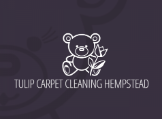 Tulip Carpet Cleaning Hempstead