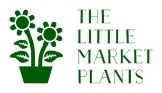 plants nursery Melbourne - The little market plants