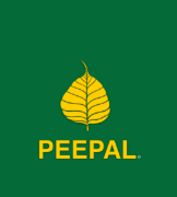 Peepal Estate Agents Swindon