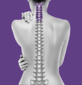 Low Back Pain Muscle