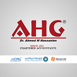  AHG Audit of Accounts