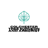 Colchester Tree Surgeon and Arborist