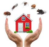 Pest Control Glen Waverley