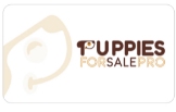 Local Business Puppies For Sale Pro LLc in Orlando FL