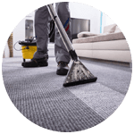 Local Business Carpet Cleaning Melbourne in Melbourne VIC