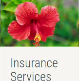 Term Life Insurance Quotes Honolulu, Hawaii