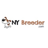 Local Business NY Breeder in White Plains 