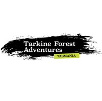 Tarkine Forest Adventures at Dismal Swamp