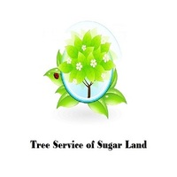 Local Business Tree Service of Sugar Land in Sugar Land 