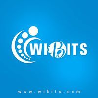 Local Business Wibits Web Solutions LLP in Nagercoil 