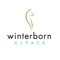 Winterborn Alpaca USA