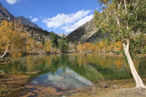 northernarea Company Logo by northern area in gilgit 