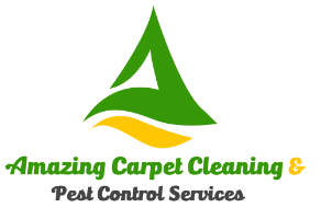 Amazing Carpet Cleaning & Pest Control Services Company Logo by Amazing Carpet Cleaning & Pest Control Services in Kenmore 