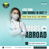 Cheap Medical Degrees for International Students Pursuing an MBBS Abroad | NIE