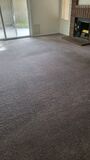 Exceptional Carpet Cleaning in Santa Monica