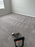 Affordable Carpet Cleaning in Charlotte NC