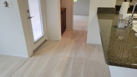 Premium Carpet Cleaning in Studio City for a Fresh Look