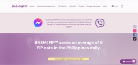 Basmifip: Pioneering New Solutions for Cats with FIP