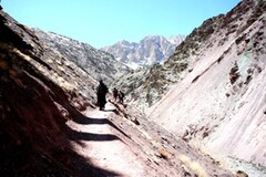 Trekking in Ladakh