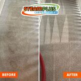 Exceptional Carpet Cleaning in Sugar Land, TX, for Every Carpet Type!