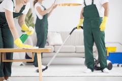 Exclusive Quality Carpet Cleaning Services Nearby You